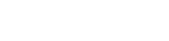 Bristol Physionet logo